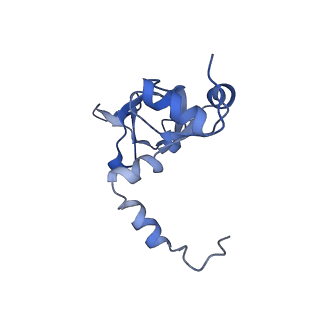 24296_7r7a_Y_v2-2
State E1 nucleolar 60S ribosome biogenesis intermediate - Composite model