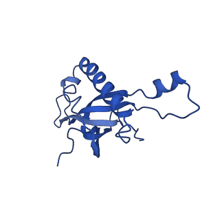 24296_7r7a_Z_v1-0
State E1 nucleolar 60S ribosome biogenesis intermediate - Composite model