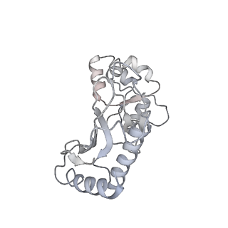 24296_7r7a_a_v1-0
State E1 nucleolar 60S ribosome biogenesis intermediate - Composite model