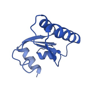 24296_7r7a_c_v1-0
State E1 nucleolar 60S ribosome biogenesis intermediate - Composite model