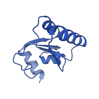 24296_7r7a_c_v2-2
State E1 nucleolar 60S ribosome biogenesis intermediate - Composite model
