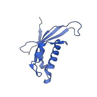 24296_7r7a_d_v1-0
State E1 nucleolar 60S ribosome biogenesis intermediate - Composite model