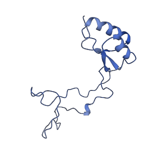24296_7r7a_e_v1-0
State E1 nucleolar 60S ribosome biogenesis intermediate - Composite model