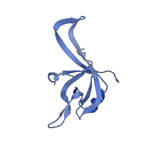 24296_7r7a_f_v1-0
State E1 nucleolar 60S ribosome biogenesis intermediate - Composite model