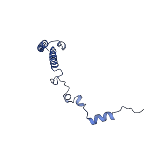 24296_7r7a_h_v1-0
State E1 nucleolar 60S ribosome biogenesis intermediate - Composite model