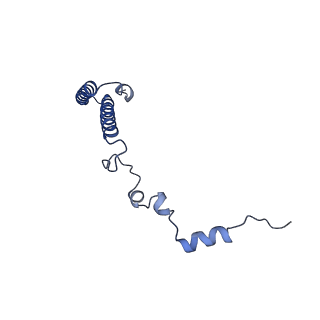 24296_7r7a_h_v2-2
State E1 nucleolar 60S ribosome biogenesis intermediate - Composite model