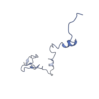 24296_7r7a_j_v1-0
State E1 nucleolar 60S ribosome biogenesis intermediate - Composite model
