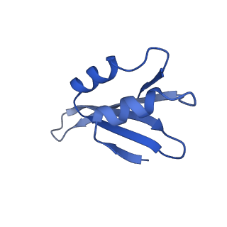 24296_7r7a_k_v1-0
State E1 nucleolar 60S ribosome biogenesis intermediate - Composite model