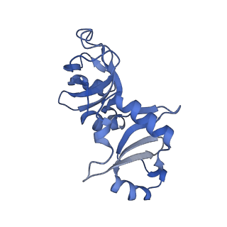 24296_7r7a_l_v1-0
State E1 nucleolar 60S ribosome biogenesis intermediate - Composite model