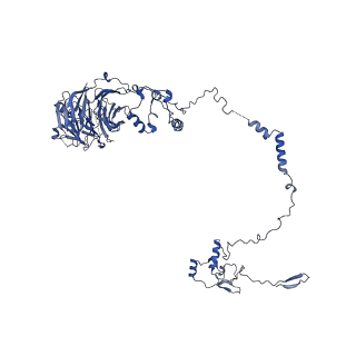 24296_7r7a_m_v1-0
State E1 nucleolar 60S ribosome biogenesis intermediate - Composite model