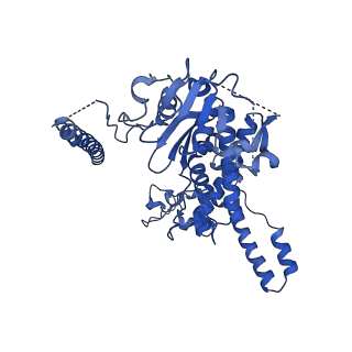 24296_7r7a_n_v1-0
State E1 nucleolar 60S ribosome biogenesis intermediate - Composite model