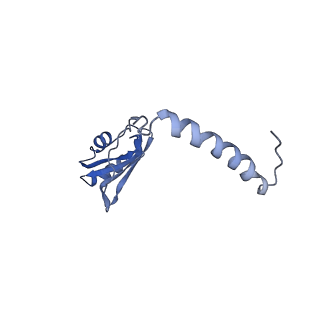 24296_7r7a_o_v1-0
State E1 nucleolar 60S ribosome biogenesis intermediate - Composite model