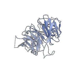 24296_7r7a_p_v1-0
State E1 nucleolar 60S ribosome biogenesis intermediate - Composite model