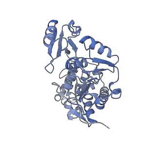 24296_7r7a_q_v1-0
State E1 nucleolar 60S ribosome biogenesis intermediate - Composite model