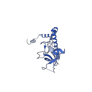 24296_7r7a_r_v1-0
State E1 nucleolar 60S ribosome biogenesis intermediate - Composite model