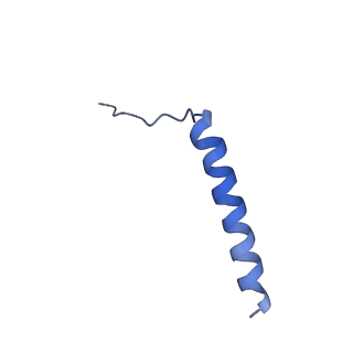 24296_7r7a_s_v1-0
State E1 nucleolar 60S ribosome biogenesis intermediate - Composite model