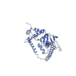 24296_7r7a_t_v1-0
State E1 nucleolar 60S ribosome biogenesis intermediate - Composite model
