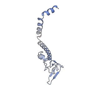 24296_7r7a_u_v1-0
State E1 nucleolar 60S ribosome biogenesis intermediate - Composite model