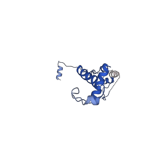 24296_7r7a_v_v1-0
State E1 nucleolar 60S ribosome biogenesis intermediate - Composite model