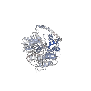 24296_7r7a_x_v1-0
State E1 nucleolar 60S ribosome biogenesis intermediate - Composite model