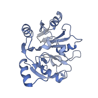24296_7r7a_y_v1-0
State E1 nucleolar 60S ribosome biogenesis intermediate - Composite model