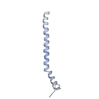 24296_7r7a_z_v1-0
State E1 nucleolar 60S ribosome biogenesis intermediate - Composite model