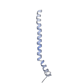 24296_7r7a_z_v2-2
State E1 nucleolar 60S ribosome biogenesis intermediate - Composite model