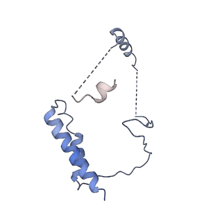 24297_7r7c_7_v1-3
State E2 nucleolar 60S ribosomal biogenesis intermediate - L1 stalk local model