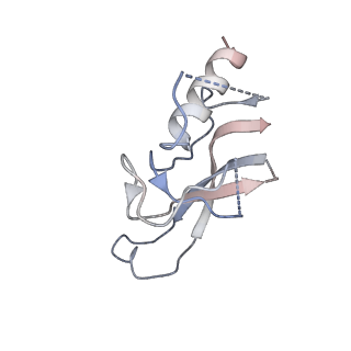 24297_7r7c_A_v1-3
State E2 nucleolar 60S ribosomal biogenesis intermediate - L1 stalk local model