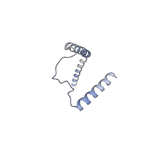 24297_7r7c_J_v1-3
State E2 nucleolar 60S ribosomal biogenesis intermediate - L1 stalk local model