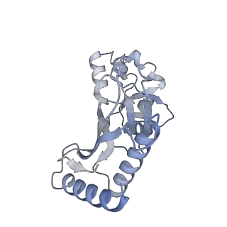 24297_7r7c_a_v1-3
State E2 nucleolar 60S ribosomal biogenesis intermediate - L1 stalk local model