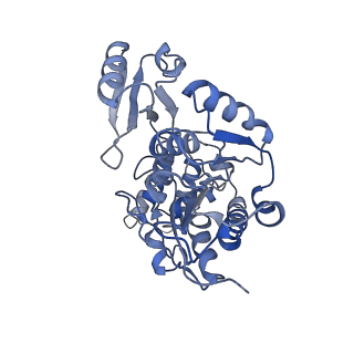 24297_7r7c_q_v1-3
State E2 nucleolar 60S ribosomal biogenesis intermediate - L1 stalk local model