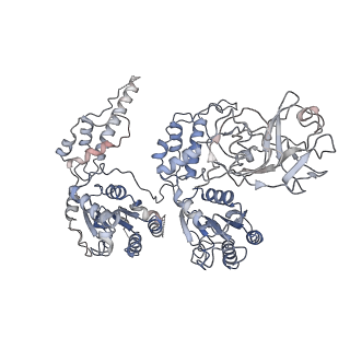 24302_7r7s_A_v1-1
p47-bound p97-R155H mutant with ATPgammaS