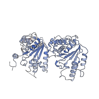 24302_7r7s_B_v1-1
p47-bound p97-R155H mutant with ATPgammaS