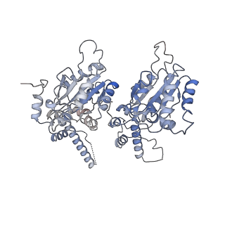 24302_7r7s_C_v1-1
p47-bound p97-R155H mutant with ATPgammaS
