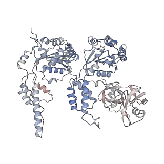 24302_7r7s_D_v1-1
p47-bound p97-R155H mutant with ATPgammaS