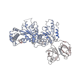 24302_7r7s_E_v1-1
p47-bound p97-R155H mutant with ATPgammaS