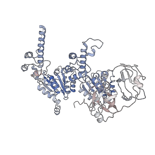 24302_7r7s_F_v1-1
p47-bound p97-R155H mutant with ATPgammaS
