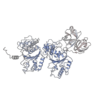 24304_7r7t_C_v1-1
p47-bound p97-R155H mutant with ADP