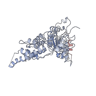 24305_7r7u_C_v1-1
D1 and D2 domain structure of the p97(R155H)-p47 complex