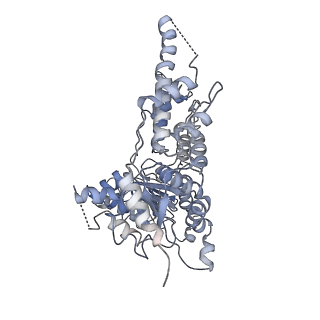 24305_7r7u_E_v1-1
D1 and D2 domain structure of the p97(R155H)-p47 complex