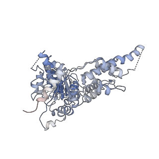 24305_7r7u_F_v1-1
D1 and D2 domain structure of the p97(R155H)-p47 complex