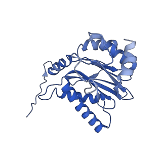 4738_6r70_A_v1-4
Endogeneous native human 20S proteasome