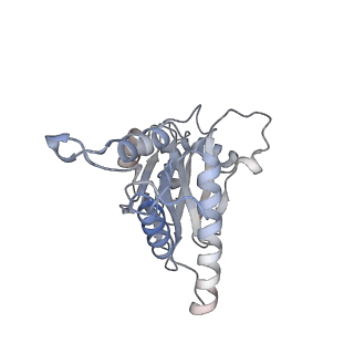 4738_6r70_C_v1-4
Endogeneous native human 20S proteasome