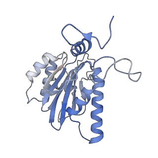 4738_6r70_D_v1-4
Endogeneous native human 20S proteasome