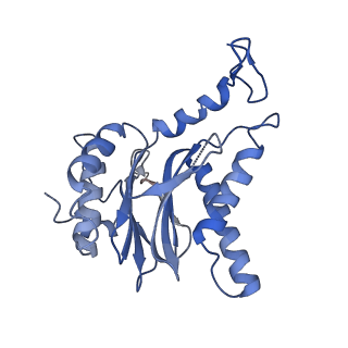 4738_6r70_E_v1-4
Endogeneous native human 20S proteasome