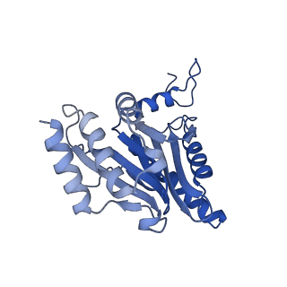4738_6r70_F_v1-4
Endogeneous native human 20S proteasome