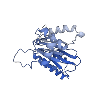 4738_6r70_G_v1-4
Endogeneous native human 20S proteasome