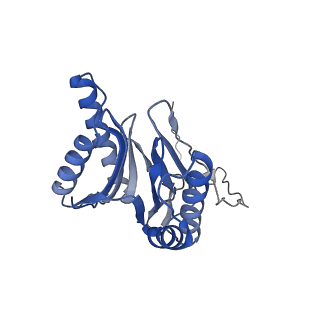 4738_6r70_H_v1-4
Endogeneous native human 20S proteasome