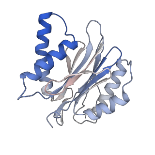 4738_6r70_I_v1-4
Endogeneous native human 20S proteasome
